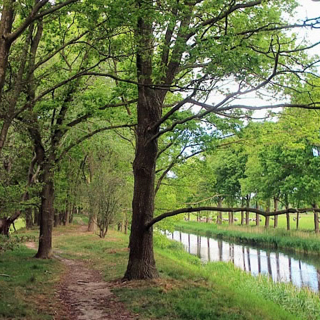 Wandelen door de Gelderse Vallei