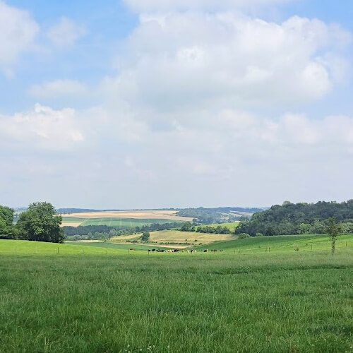 Wandelen in het Limburgs Heuvelland
