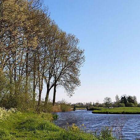 Wandelen in de Lopikerwaard