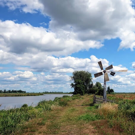 Natuurgebied Willeskop