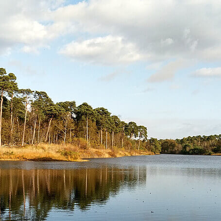 Oisterwijkse Bossen en Vennen
