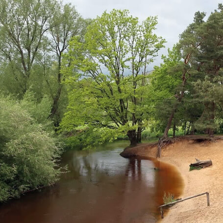 Wandelen in Twente