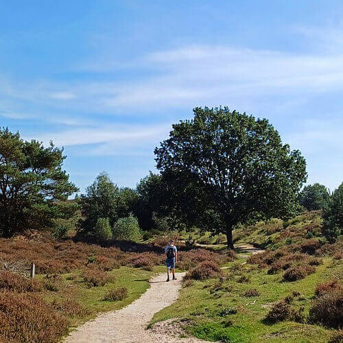 Wandelen in Gelderland