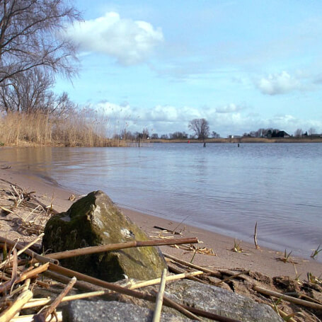 Wandelen langs de Lek