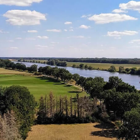 Maasduinen